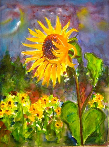 Sandy Vaillancourt, "Sunflower in Santa Fe" Framed Print